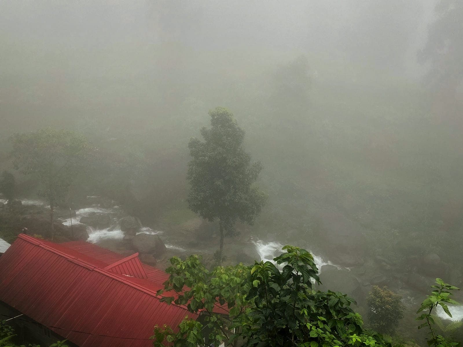 Misty River Hollow homestay - Thumbnail 1
