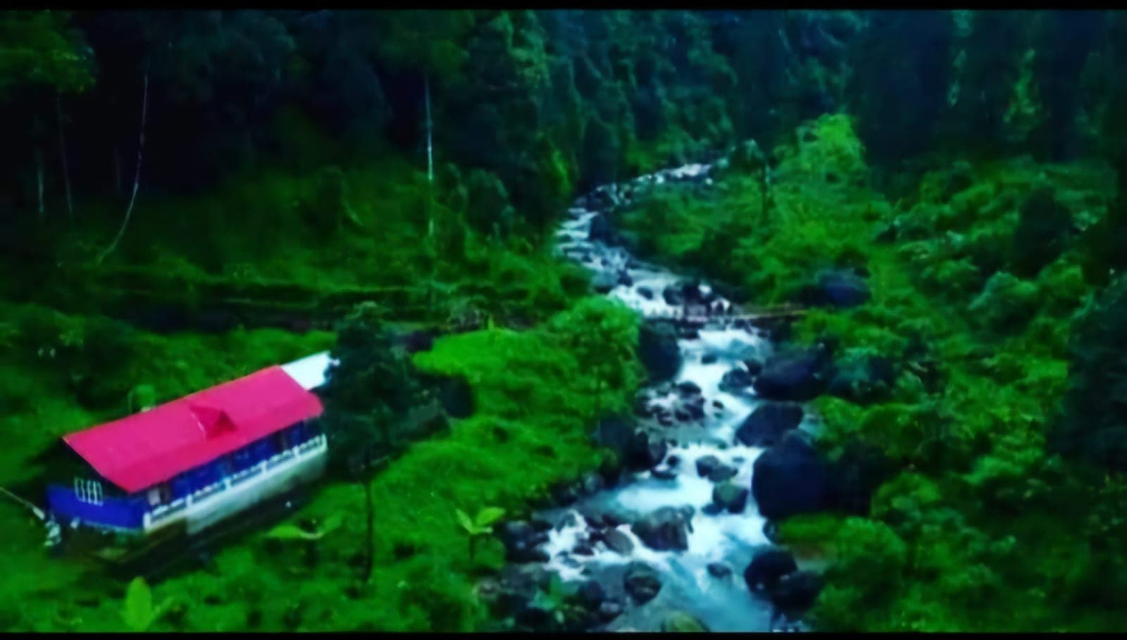 Misty River Hollow homestay - Thumbnail 3