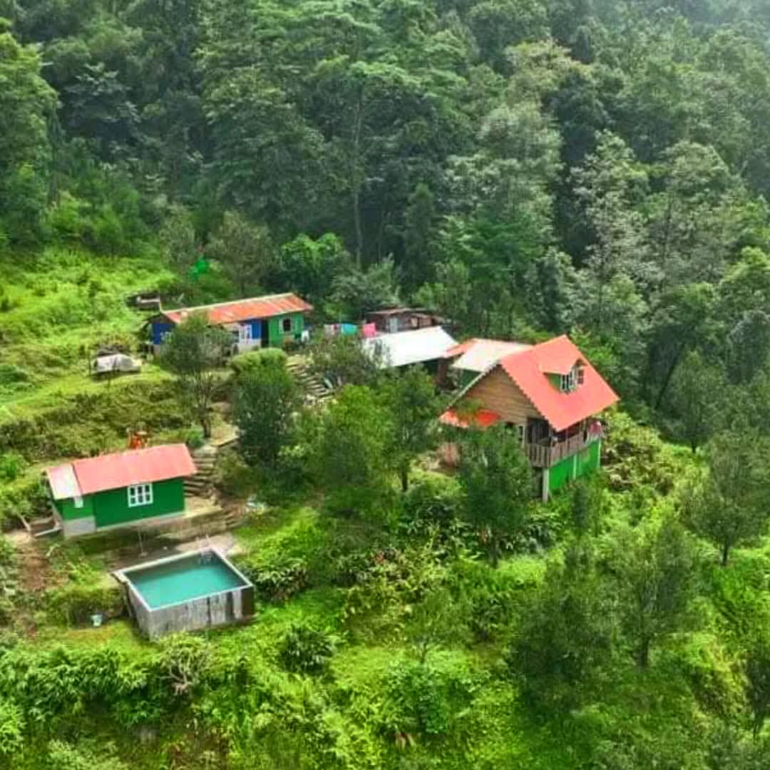 Orange Blossom Villa Homestay - Thumbnail 2