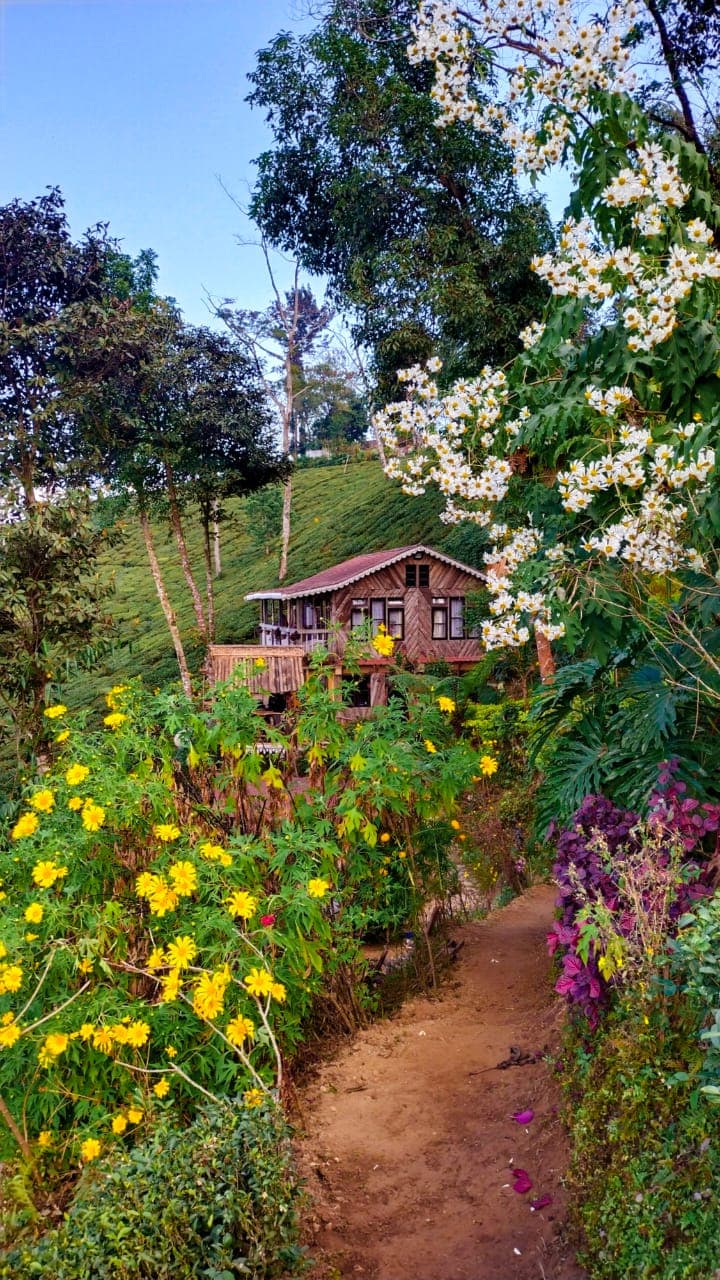 The Tea Bird Homestay - Thumbnail 1