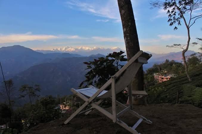 The Tea Bird Homestay - Thumbnail 2