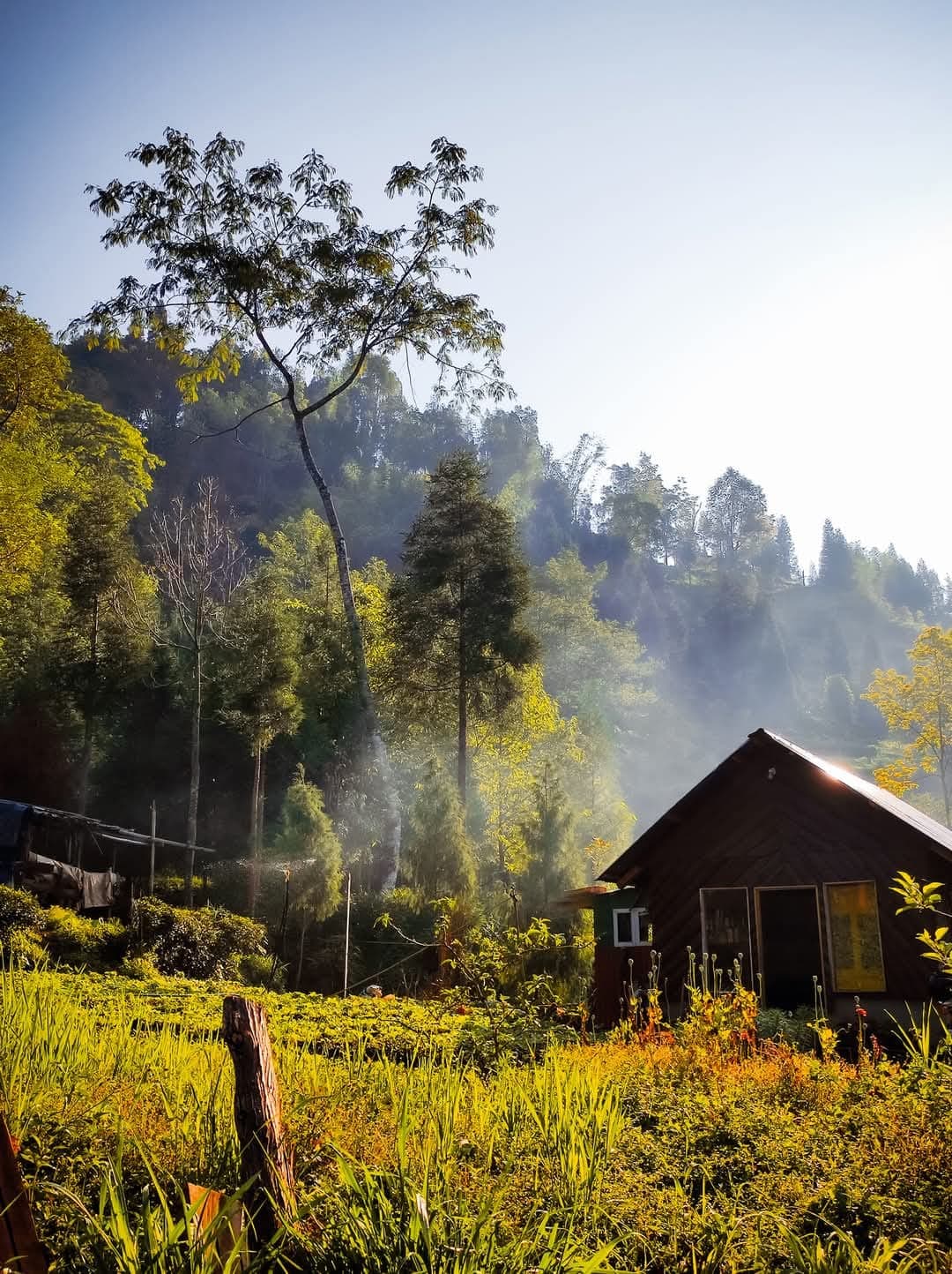 Whispering Pines Farmstay