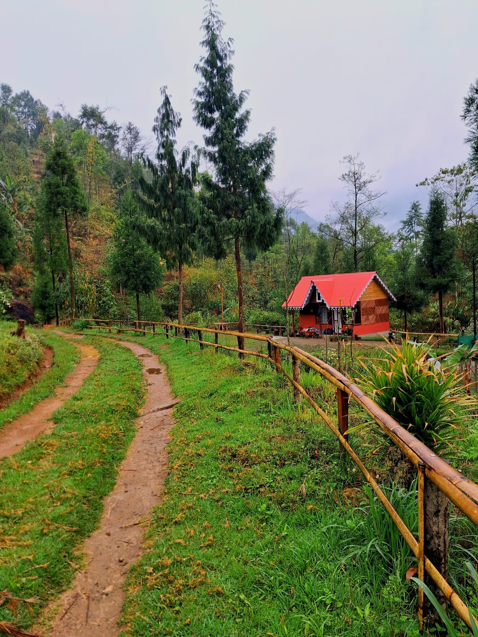 Whispering Pines Farmstay - Thumbnail 3